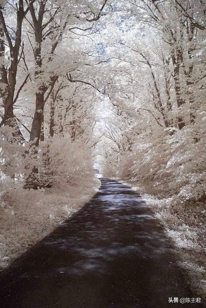 内蒙古人所说的风季是哪个季节，蒙古人的风季是什么季节（中国历史地理常识大全）