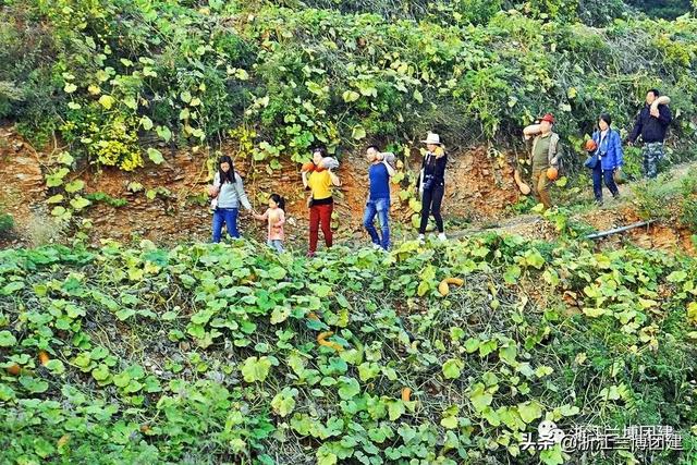 团建项目有哪些，在宿舍的团建项目有哪些（最适合秋天的五大团建项目）