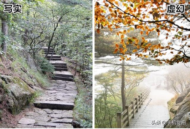 轻烟老树寒鸦什么意思，轻烟老树寒鸦前面一句是什么（不妨跟着“古诗”拍拍看）