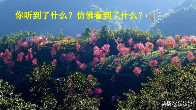 的小鸟在的叫着.怎么填空，小鸟在天空中什么地欢叫（部编版三年级上册第21课《大自然的声音》课件及同步练习）