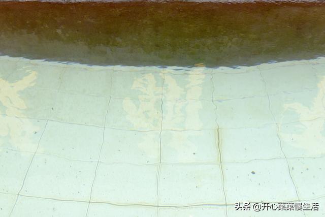 肇庆十大旅游景点之梅庵，肇庆名胜风景区（广东肇庆有个神奇的水池）