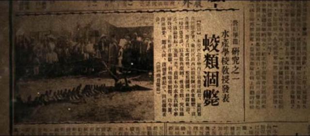 中国营口坠龙事件，揭秘营口坠龙事件的真相（70年后有人上交龙骨）