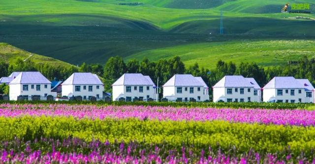 油菜花开的唯美句子有哪些，油菜花开的唯美句子有哪些三年级（金色耀眼，如绚烂花毡）