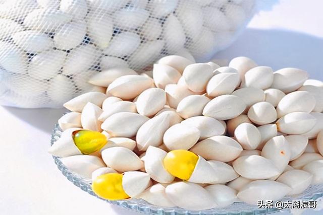 白枣吃了有什么作用急急急，白枣的营养价值及功效（开启了太湖洞庭一年的花果飘香）