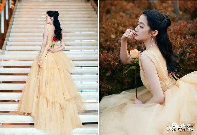 迪士尼在逃公主是什么意思，什么叫迪士尼在逃公主（被娱乐圈女明星玩了一年的在逃公主梗）