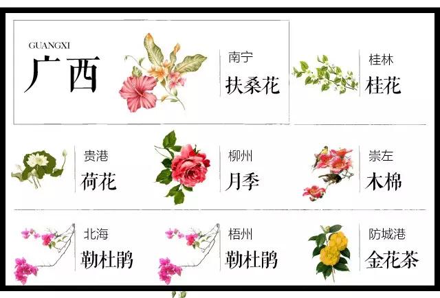 城市的市花有哪些花，关于全国各城市市花及意义