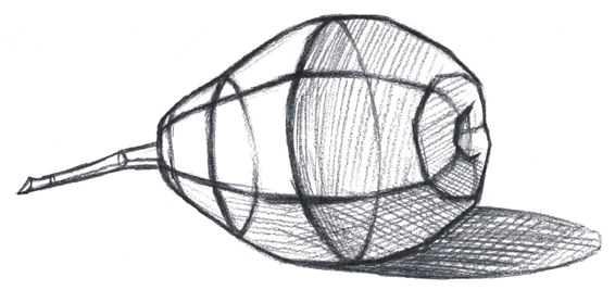 如何画素描静物，如何画素描静物组合体（分步骤图解教你画静物素描）