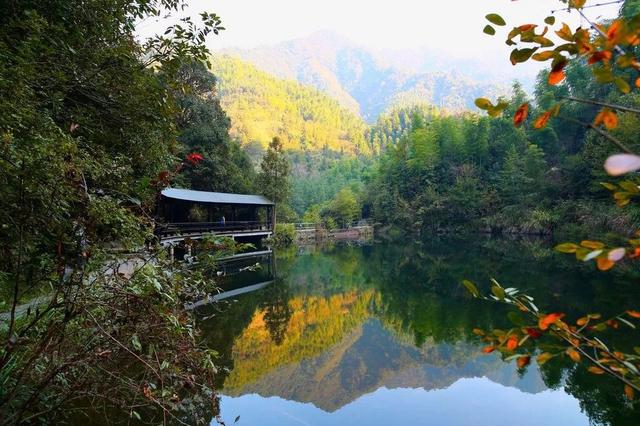 开化县属于哪个市，开化市有哪些镇（18万亩油菜花不逊色于婺源）