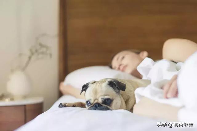 快速助眠方法，快速入睡黑科技：这8个小技巧