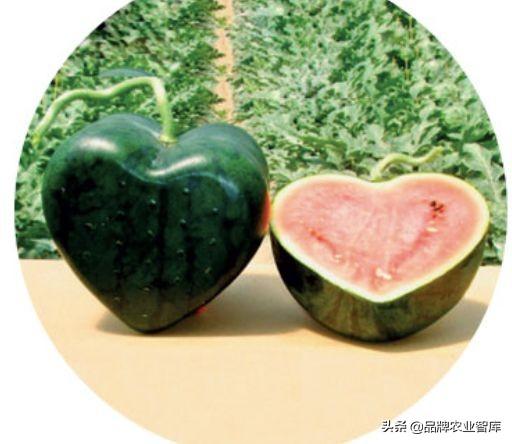 独果是什么，独果是真的吗（吃水果吃掉一套房、几辆车）