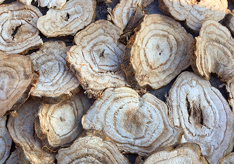 本草图经作者是谁，《本草图经》的作者（芎藭 蘼蕪 藁本）