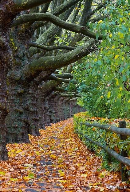 内蒙古人所说的风季是哪个季节，蒙古人的风季是什么季节（中国历史地理常识大全）