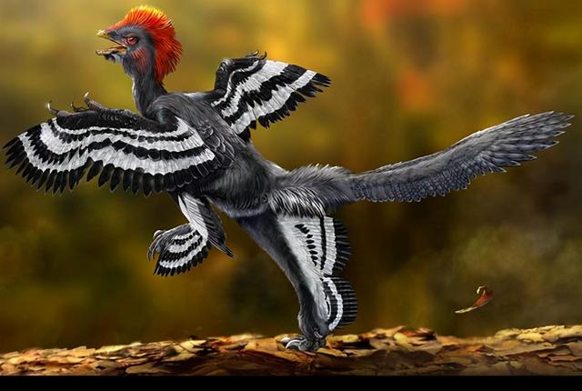 鸡是哺乳动物吗，哺乳动物有哪些（它们之间相差6000万年）