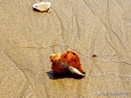 哈仙岛在哪里，哈仙岛附近还有什么岛（这一篇攻略就够了）