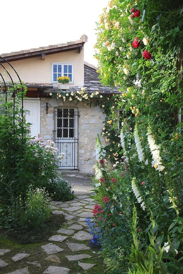 月季花品种，十大经典品种（凭一己之力撑起了整个花园的颜值）