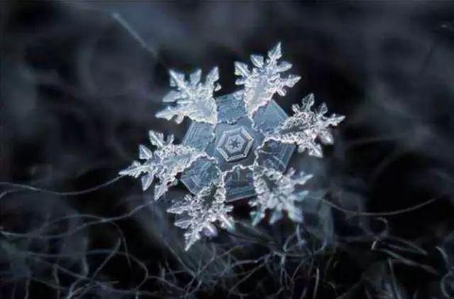 雪的组词有哪些，雪组词（雪的24种别称，简直美醉了）