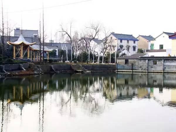 殉情是什么意思，殉情是什么意思的抹香鲸（妙龄少女为陌生男子殉情）