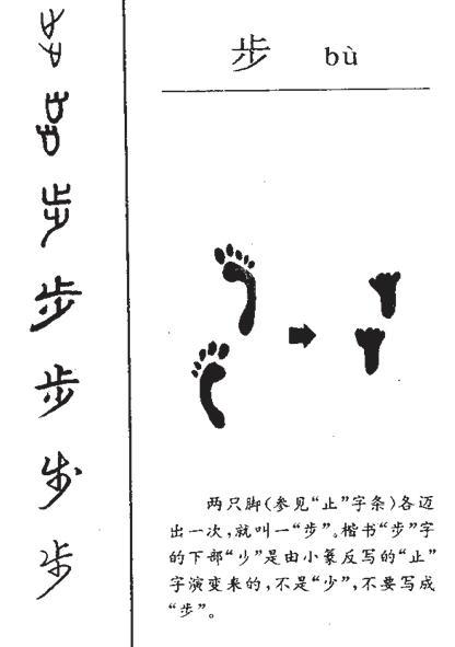 篦子是什么意思，馏馍是什么意思网络用语（网友：图十二的意思真想不到）