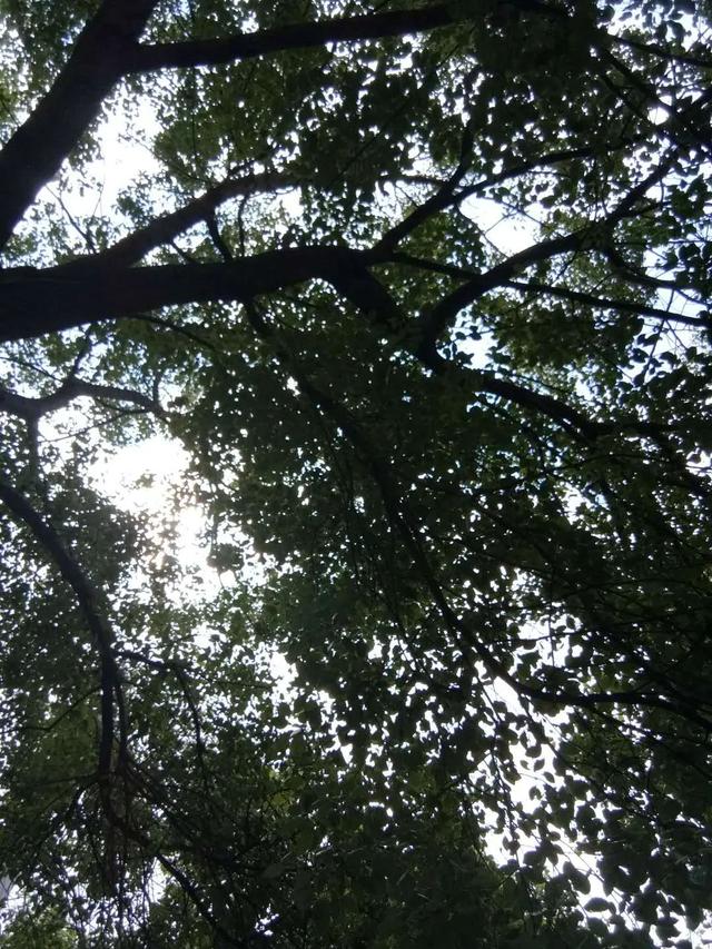 许卫国的人物履历，许卫国（：翻越湖南省沅陵县原始部落居住地——磨鹰岩）