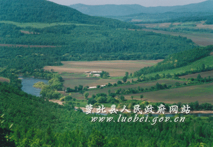 黑龙江省四大穷县，黑龙江省四大穷市（黑龙江省萝北县）