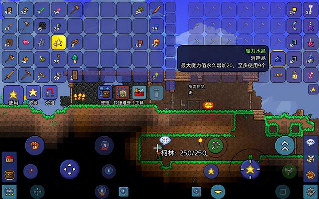 泰拉瑞亚如何做床，泰拉瑞亚床怎么用（泰拉瑞亚新手开局实用道具推荐）