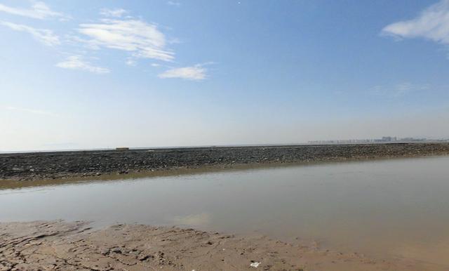 长江入海口是什么海，长江入海口属于什么海（大多数都分布在长江口以南的海域）