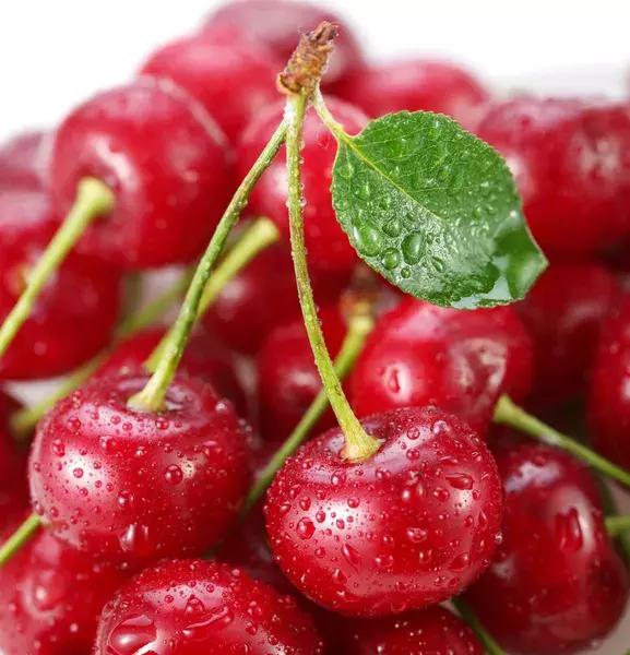 樱桃子有没有毒，樱桃有毒是什么原因（看完专家的答案心里就有数了）