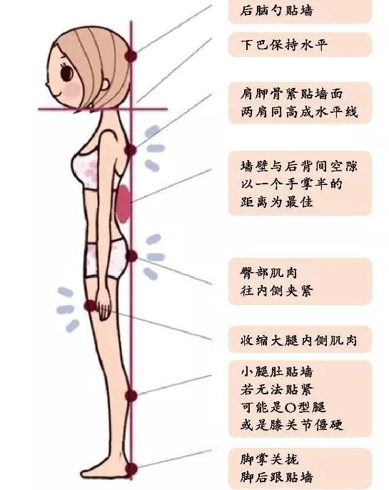 靠墙站立的好处功效与作用，靠墙站立有什么好处（每天坚持10分钟的靠墙站）