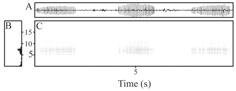蛙类品种大全，蛙类品种大全有毒（地球上7238种青蛙和蟾蜍中）