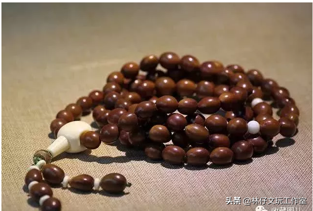 适合做手串的植物种子，适合做手串的植物种子是什么（这些路边捡的树籽儿串成手串）