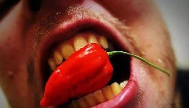 5 种最常见的葡萄酒杯，勃艮第红酒杯（酒杯怎么选）