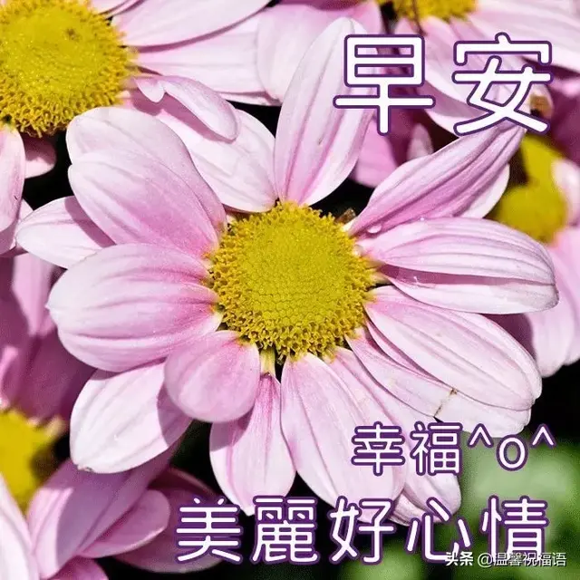 微信祝福语简短，过年微信祝福语简短一句话（星期天早安送朋友的简单问候祝福语）