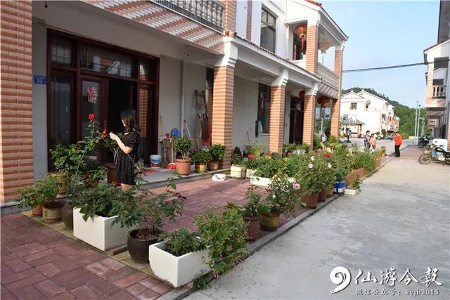 灵源山风景区在哪里，仙水洋作文500字（仙游新晋网红民宿藏身这处世外桃源）