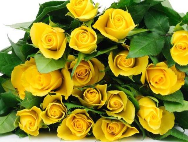 天堂鸟花语，天堂鸟花图片（你知道大自然中这些花的花语吗）