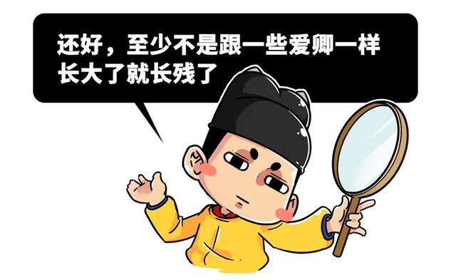 养雪鸮犯法吗，宠物雪貂多少钱一只（猫头鹰的构造原来这么奇葩）