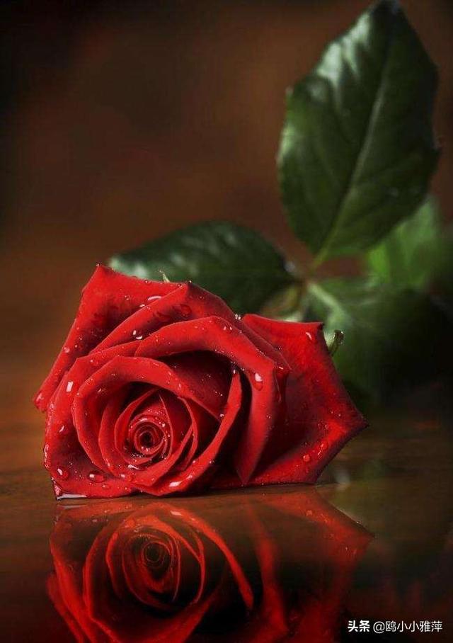 西方情人节祝福语大全，西方情人节快乐（2月14日，祝你情人节快乐）