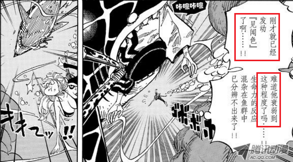 海贼王里面龙到底有多强，海贼王里的龙到底有多厉害