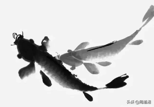 金鱼画法步骤图解,国画写意鲤鱼、金鱼的画法 金鱼画法步骤图解,国画写意鲤鱼、金鱼的画法