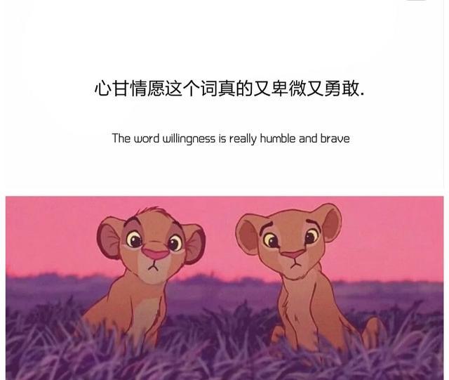 心甘情愿歌词，甘心情愿原唱歌词（心甘情愿这个词既卑微也勇敢）