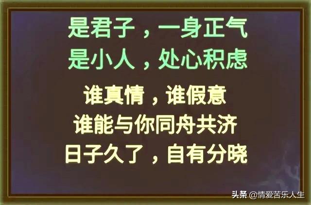 大路朝天各走半边，大路朝天各走一边是什么意思（大路朝天：是狗）