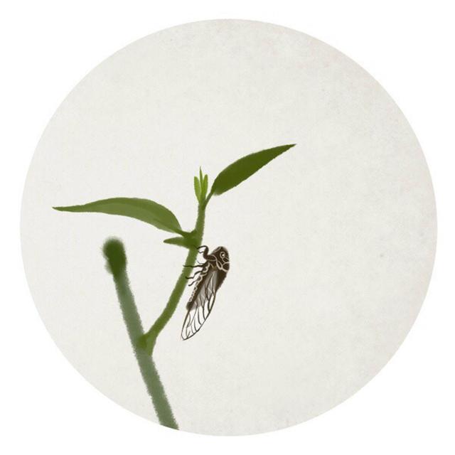 辰宿列张怎么读音，辰宿列张这四个字怎么读（《千字文》全文含拼音解释）