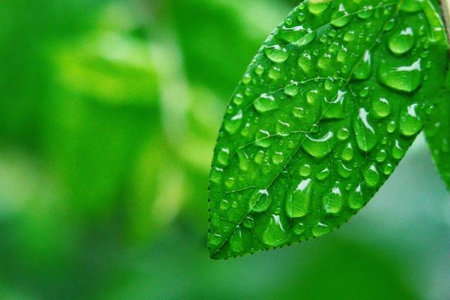 雨诗歌，凄风苦雨诗歌（20首微雨诗词）