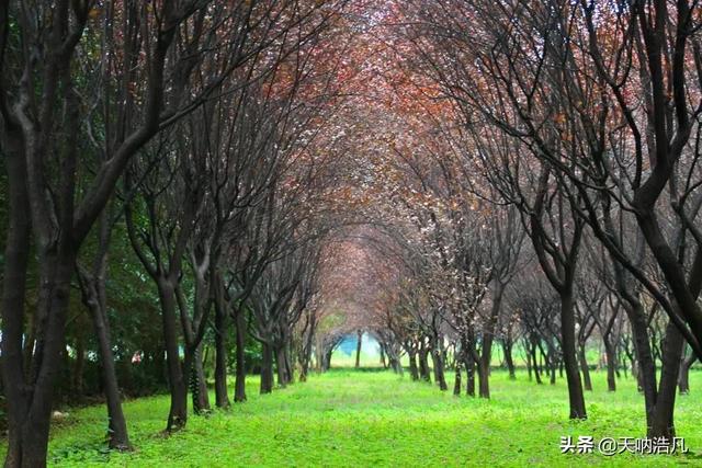 湖北大学怎么样,排名好不好(湖北大学,湖北省属最强高校) 湖北大学怎么样,排名好不好(湖北大学,湖北省属最强高校)