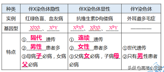 什么是基因的遗传信息，什么是基因的遗传信息传递（<基因、遗传篇>建议收藏）