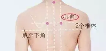 怎么找足三里准确位置图，如何找足三里的准确位置图（气血双补的穴位和方法）