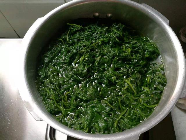 草饼（艾草饼），冬日暖胃食艾饼（艾草饼是哪里的）