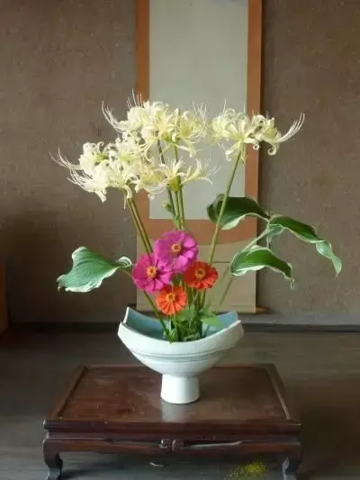 彼岸花，微信头像，彼岸花（48张彼岸花图，真是美极了）