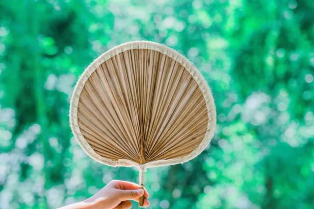 夏天的词语有哪些，关于夏天的四字词语有哪些（24个夏天的成语）