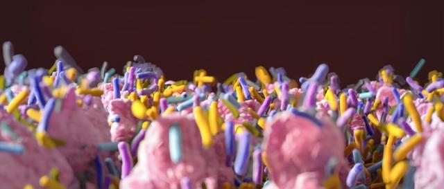 怀孕便秘怎么办快速排便，怀孕便秘怎么办快速排便吃火龙果都没用（准妈妈不妨试试这六招）