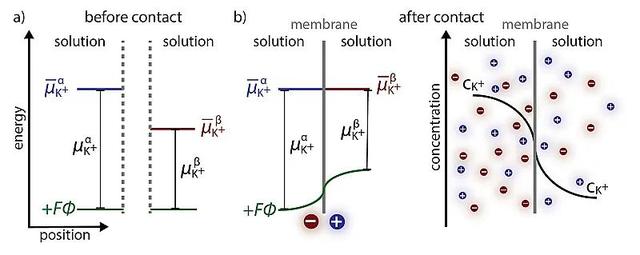 energy什么意思，energy是什么意思（电化学中让人挠头的各种“势”）